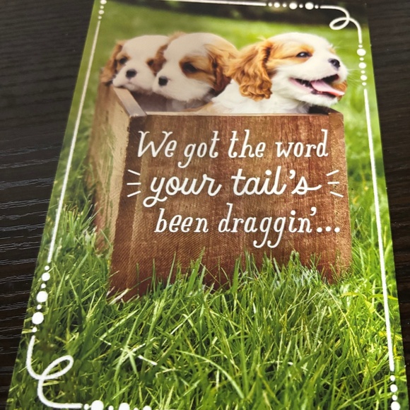 Dog get well greeting card - Picture 1 of 2